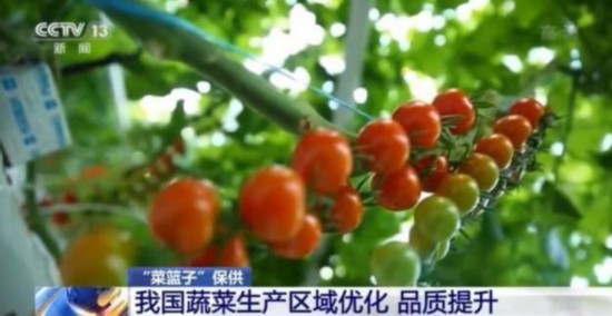 淡季不淡！蔬菜供应总体充足多米体育价格大幅上涨可能性不大(图2)