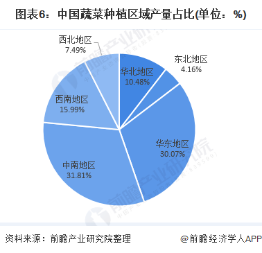 2020年中国蔬菜种植行业市场现状和竞争格局分析 山东蔬菜产量全国第一【组图】多米体育(图6)