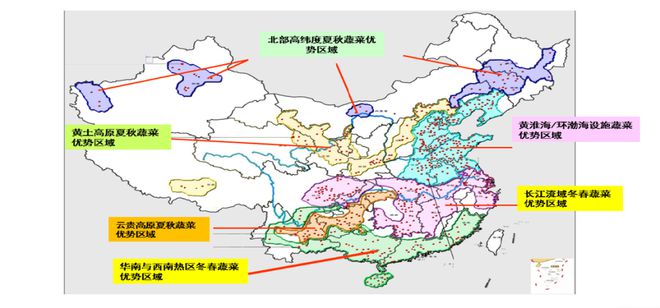 多米体育大国蔬菜产业全景！(图2)