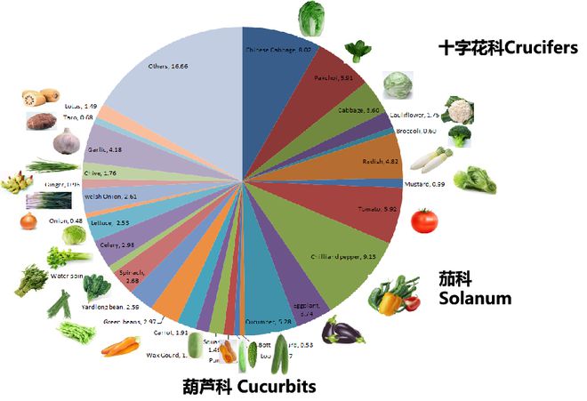 多米体育大国蔬菜产业全景！(图3)