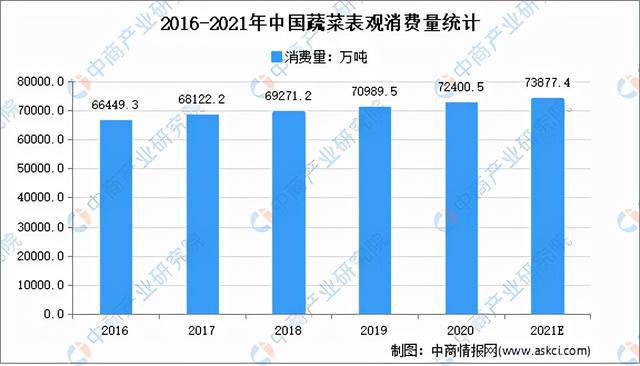 “双循环”战略专题：2021年蔬菜行业市场现状及发展趋势预测分析多米体育(图4)