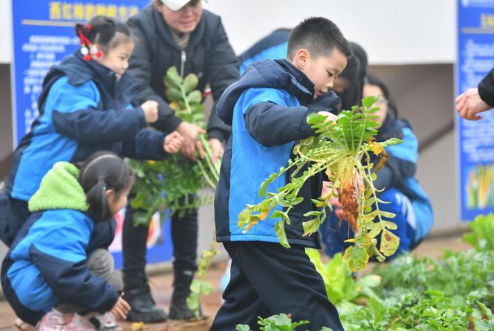 孩子们上劳动课了——聚焦中小学新版劳动课几个关注点(图4)