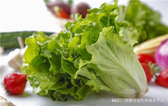 多米体育APP生菜怎么种？生菜种植的时间和方法是什么？(图2)