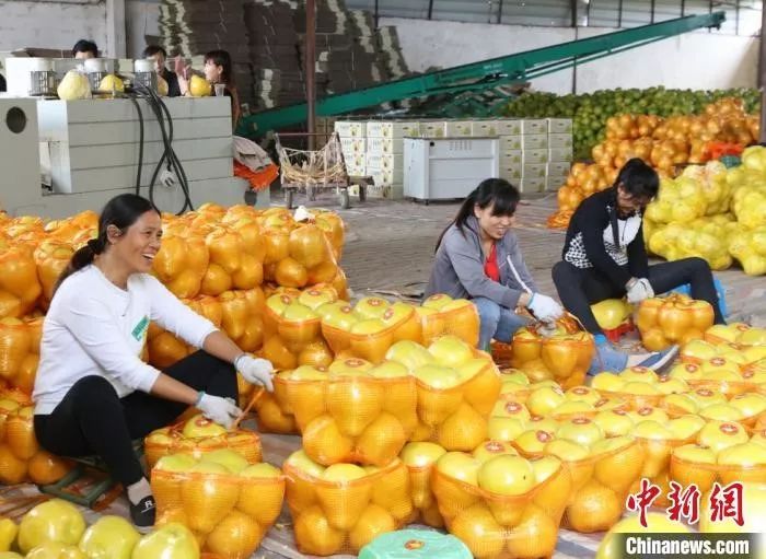 多米体育下载春节猪肉蔬菜水果会集体涨价？农业农村部回应(图4)