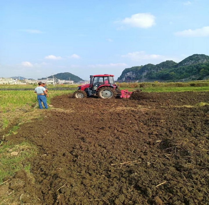 镇宁丁旗街道：“四到位”抓好冬季油菜种植多米体育下载(图3)