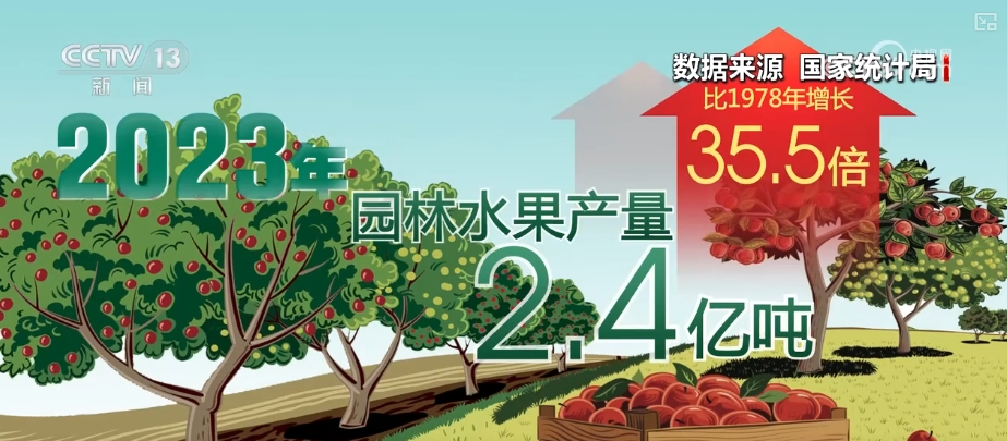 多米体育网址从“稀客”到“寻常”33亿吨数说“果篮子”拎出的“幸福感”(图2)