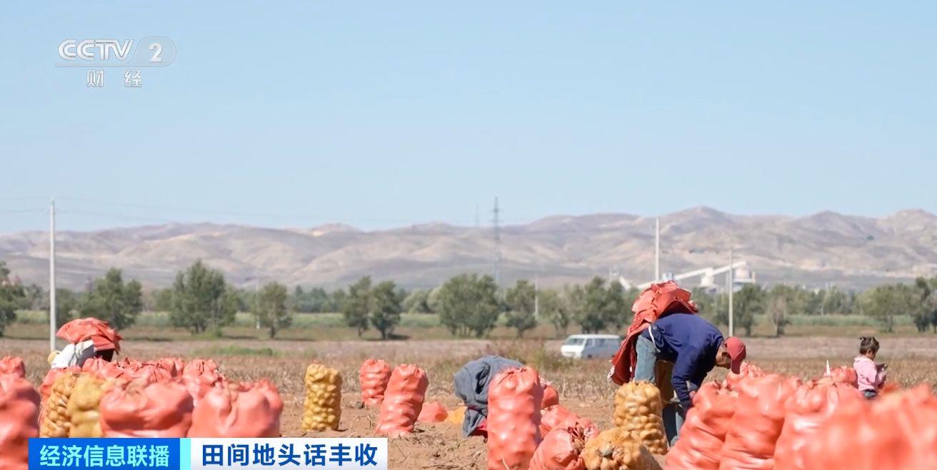 航空育种多米体育APP土豆即将收获 探访最新生长情况→(图6)