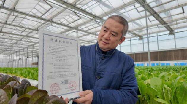 融媒·见证丨北方首张济南蔬菜拿下“湾区认证”——济南蔬菜拿下“湾区认证”(图3)