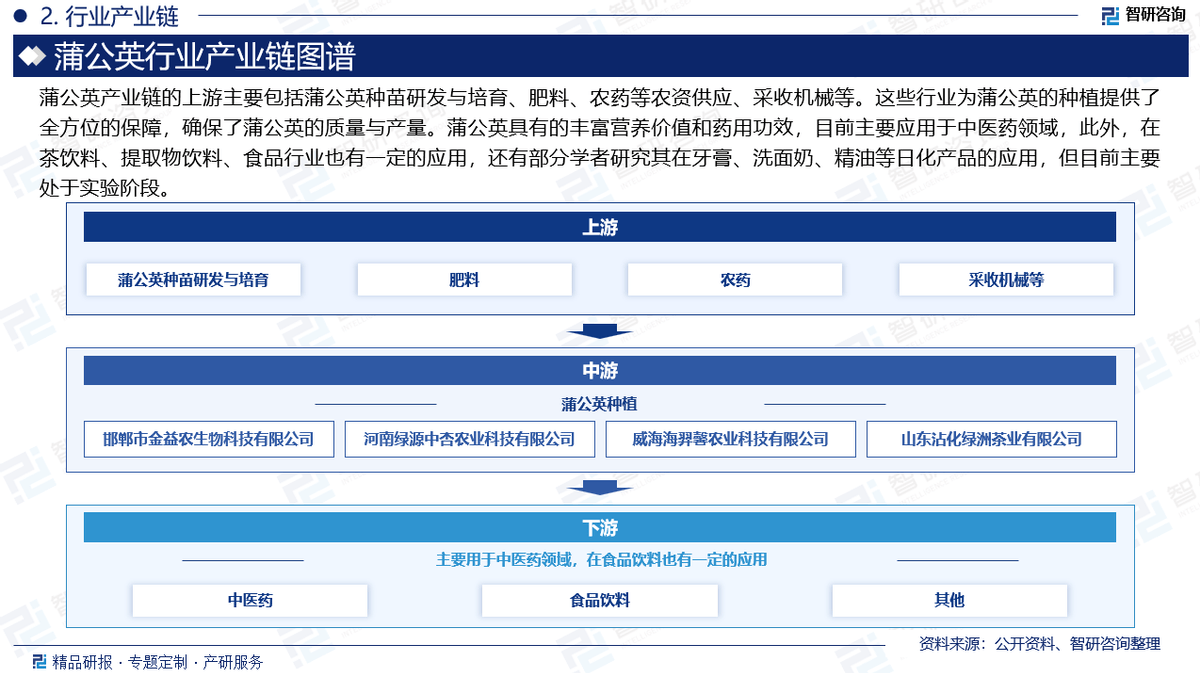 智研咨询—20多米体育官网25年中国蒲公英种植行业发展现状及市场需求规模预测报告(图3)